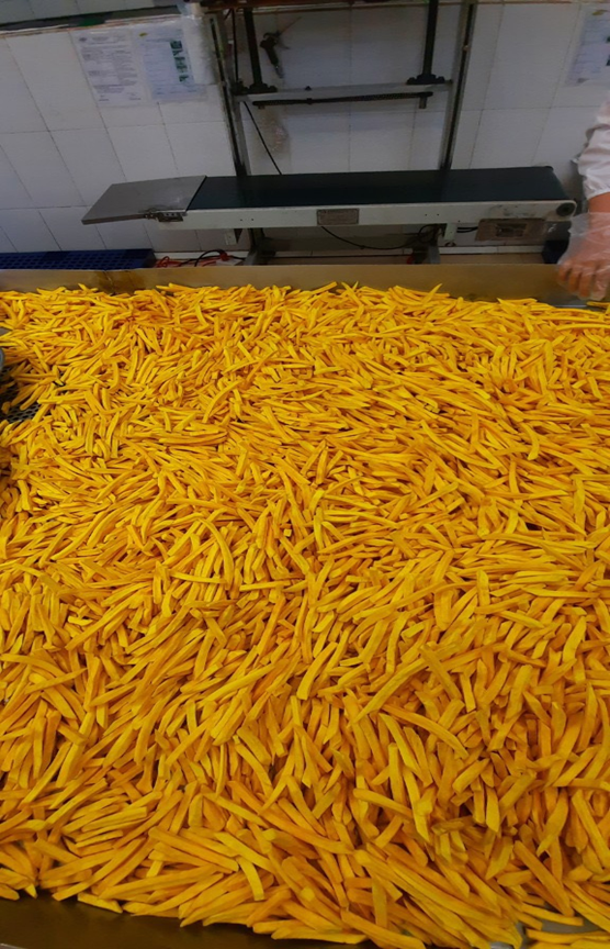 dried yellow sweet potato exporter in Ba Dinh District, Hanoi, Vietnam